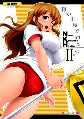 NKH II Nanka Kawarade Hirotta 2 manga cover