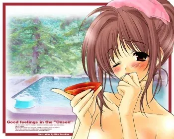 Hentai Collection Package 13 manga cover