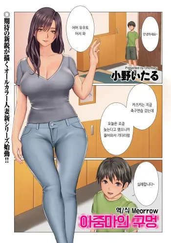 [Onoitaru] Oba-san no Ana | 아줌마의 구멍 (comic KURiBERON DUMA 2019-11 Vol. 17) [Korean] [Meorrow] manga cover