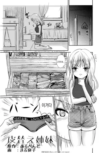 가죽교환자매 / 皮替え姉妹 manga cover