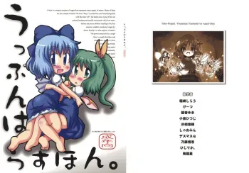 (Reitaisai 5) [Sonna hi no koto. (Various)] Uppun Harasu Hon. (Touhou Project) manga cover
