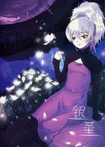 (C72) [PaperCrown (Nagata Tsubasa)] Ginka (DARKER THAN BLACK -Kuro no Keiyakusha-) manga cover