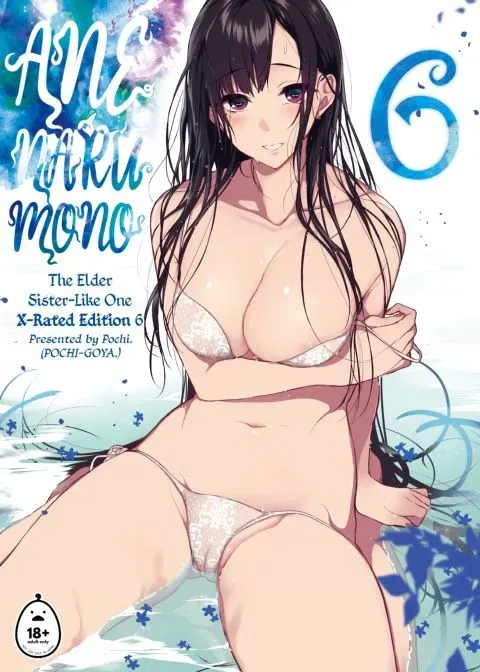 Ane Naru Mono: The Elder-Sister Like One 6 manga cover