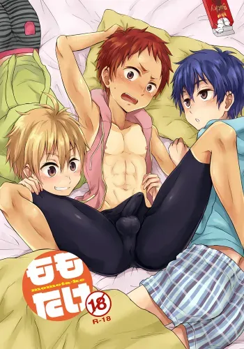 Momota-ke manga cover