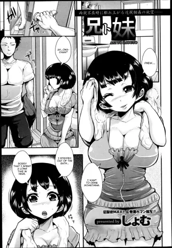 Ani to Imouto manga cover