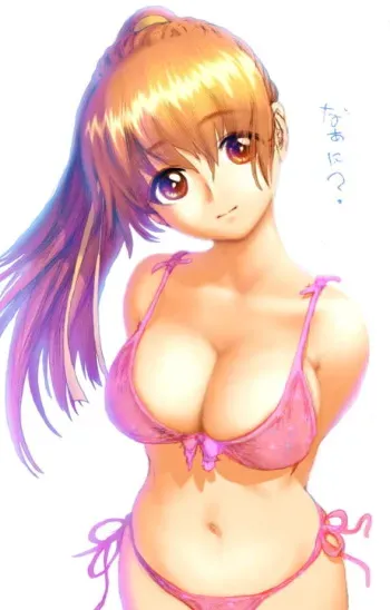Hentai ULTIMATE Collection Part 23 (Dead or Alive) manga cover