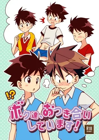 [ぴかハム (さゆこ)] ボク達、おつき合いしています！ (ボク達、おつき合いしています！) manga cover