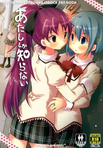 (C86) [Energia (Pikachi)] Atashi shika Shiranai | 나만이 아는 (Puella Magi Madoka Magica) [Korean] [naaari7] manga cover