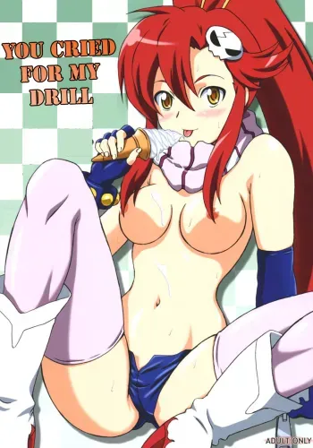 You Cried For My Drill manga cover
