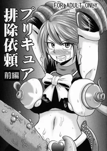 (C82) [Akuochisukii Kyoushitsu (Akuochisukii Sensei)] Precure Haijo Irai Zenpen (Futari wa Precure) manga cover