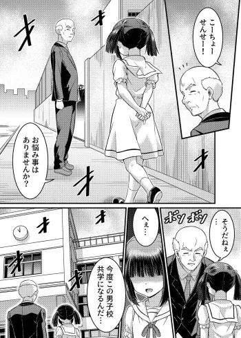 [Mashiro no Hihoukan (Mashiro Yuu, Kaneko Naoya)] Danshiko ga kyo gakko ni!? Pinto hazure no nazo shojo! ＋ α | Boys School becomes a Mixed-Sex School!? Mystery Girl Out of Focus! ＋ α manga cover