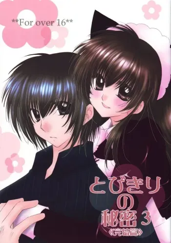 (C68) [Sakurakan (Seriou Sakura)] Tobikiri no Himitsu 3 <<Kanketsuhen>> (Inuyasha) manga cover