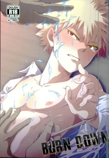 (Hanjuku Hero Life WEST) [Reisei Hormone (Soujiroh, Kikogaminata)] BURN DOWN (My Hero Academia) manga cover