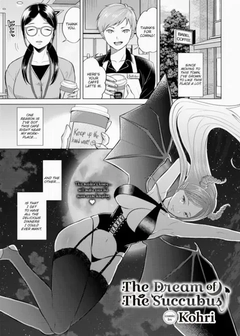 The Dream of the Succubus manga cover