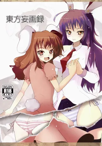 (CT13) [Shiinotomoshibitake (Ippongui)] Touhou Mougaroku (Touhou Project) manga cover