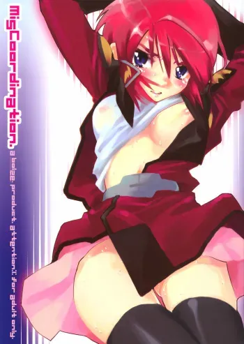 (SC28) [bolze. (rit.)] Miscoordination. (Mobile Suit Gundam SEED DESTINY) manga cover