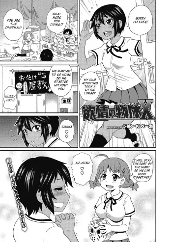 Yokujou no Buttai X manga cover