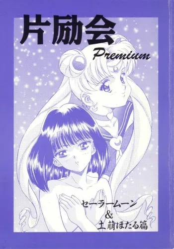 (CR17) [Henreikai (Various)] Henreikai Premium (Bishoujo Senshi Sailor Moon) manga cover