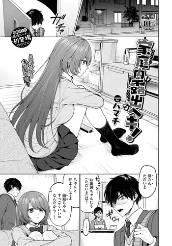 家庭内露出ヘキ！ manga cover