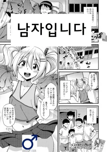 [Nokoppa] Doutei Cheerleading! | 남자임니다 (Gekkan Web Otoko no Ko-llection! S Vol. 68) [Korean] [Digital] manga cover