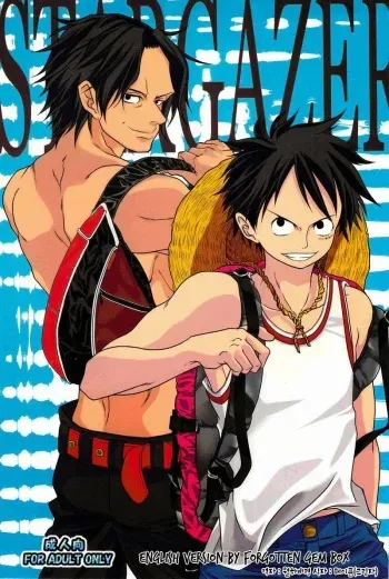 (C78) [Reindeer (senbu)] STARGAZER (One Piece) [Korean] manga cover