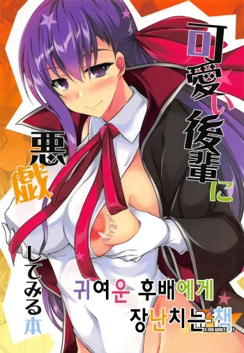 (SC2018 Autumn) [ELHEART'S (Ibuki Pon)] Kawaii Kouhai ni Itazura Shite Miru Hon｜귀여운 후배에게 장난치는 책 (Fate/Grand Order) [Korean] manga cover