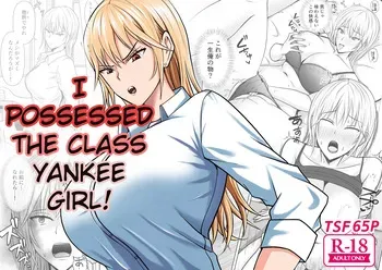 I Possessed the Class Yankee Girl 1-6 manga cover