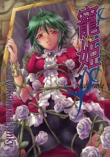 (C75) [Yokohama Junky (Makari Tohru)] Chouki (SaGa Frontier) manga cover