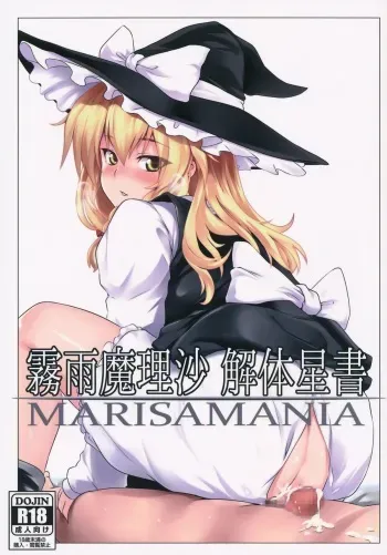 (KoiMari5) [MMT!!, Zenoside (K2isu, Zeno)] Kirisame Marisa Kaitai Seisho (Touhou Project) manga cover