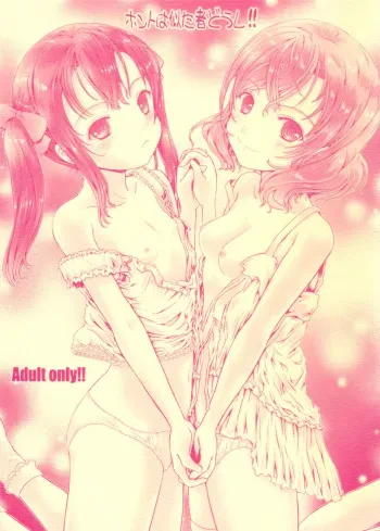 Honto wa Nita Mono Doushi!! manga cover