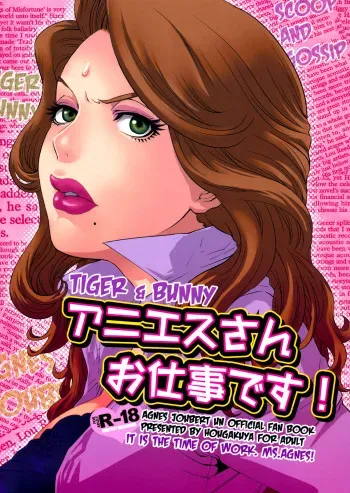 (SC53) [Hougakuya (Touzai, Nanboku)] Agnes-san Oshigoto desu! (TIGER & BUNNY) [Spanish] manga cover
