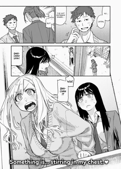 The Twins Love Their Brother manga cover