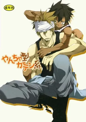 Yancha Gata Gaten Ke manga cover