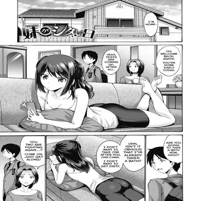 Imouto ga Shitai Hi [Original] manga cover