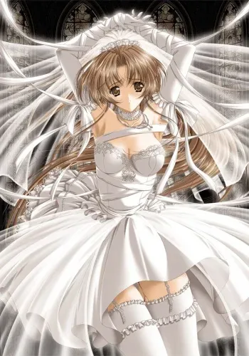 [Riddle Soft] Virgin Bride - Ochita Hanayome manga cover