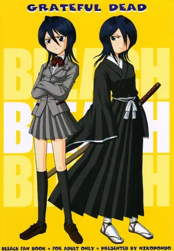 (CR31) [Nikopondo (Aoyama Reo)] Grateful Dead (Bleach) [French] [O-S] manga cover
