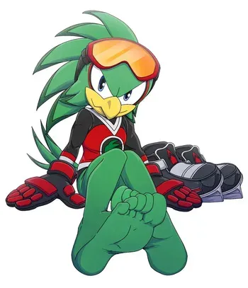Jet the Hawk & Sonic by Footninja15 manga cover