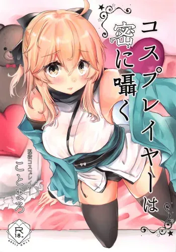 (COMIC1☆14) [Deshutte Itteru Neko (Kotomaro)] Cosplayer wa Mitsu ni Sasayaku (Fate/Grand Order) manga cover