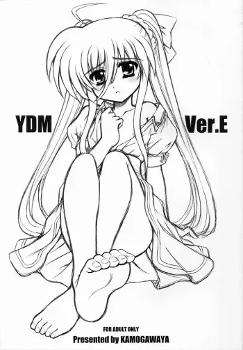 (Nanoha Party 3) [Kamogawaya (Kamogawa Tanuki)] YDM Ver.E (Mahou Shoujo Lyrical Nanoha) manga cover