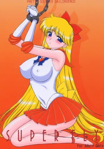 (C69) [BLACK DOG (Kuroinu Juu)] Super Fly (Bishoujo Senshi Sailor Moon) [Korean] manga cover