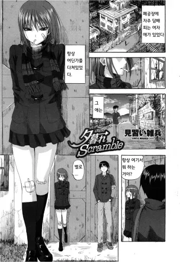 [Minarai Zouhyou] Yuugure Scramble (COMIC Penguin Club Sanzokuban 2013-02) [Korean] manga cover