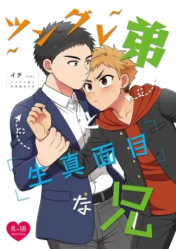 [Suita Kobara ni Choudo Ii (ichi)] Tsungure Otouto to Kimajime na Ani [Digital] manga cover