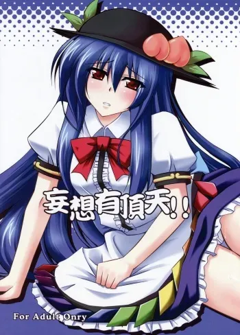(C74) [Dokomademo Aoi Sora ni Ukabu Niku (Nikusoukyuu)] Mousou Uchouten!! (Touhou Project) manga cover