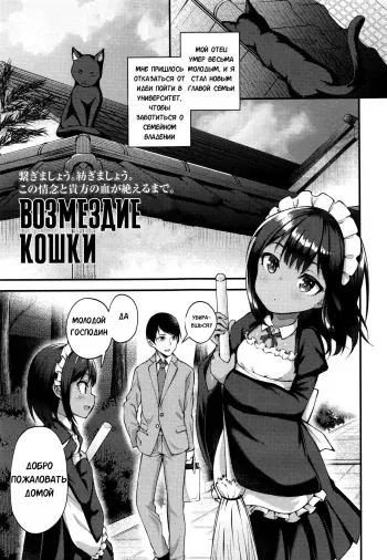 [Binsen)] Neko No Ongaeshi | Возмездие кошки (Towako 6) [Russian] [Mechen] manga cover