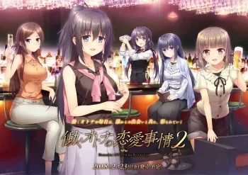 [Akabei Soft3] Hataraku Otona no Renai Jijou 2 manga cover