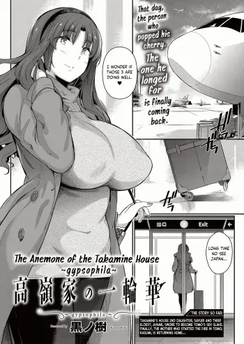 Takamine-ke no Ichirinsou ~gypsophila~ | The Anemone of the Takamine House ~gypsohila~ manga cover