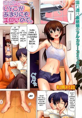 Itoko ga Amarinimo Eroi node. | Because My Cousin's Too Damn Hot. manga cover