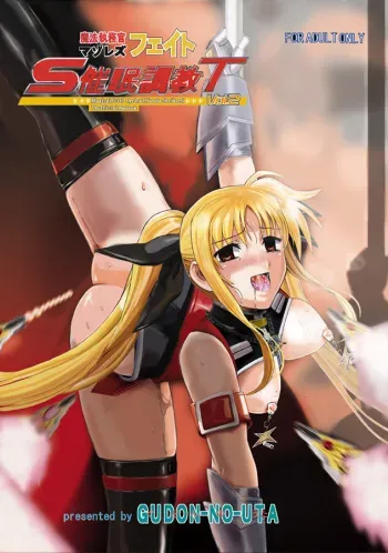 Mahou Shitsumukan MasoLes Fate Saimin Choukyou Vol. 2 manga cover