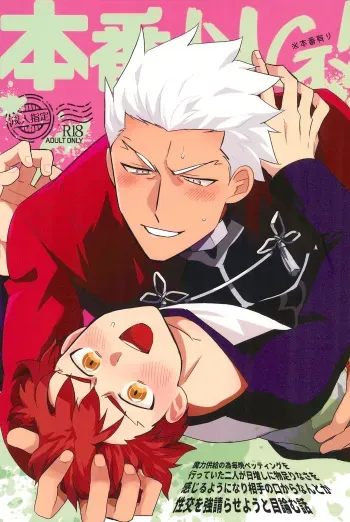 (Dai 27-ji ROOT4to5) [Kyuukouka (Sakamoto)] Honban NG! (Fate/stay night) manga cover