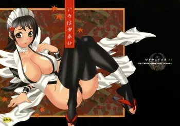 Yukiyanagi's Book 11 - Iroha Gohoushi manga cover